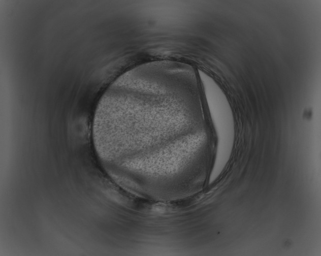 X0000093260420200710171453