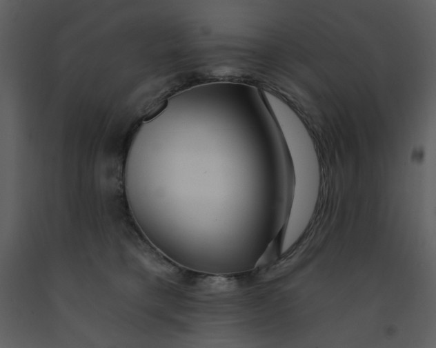 X0000093260421200710171453