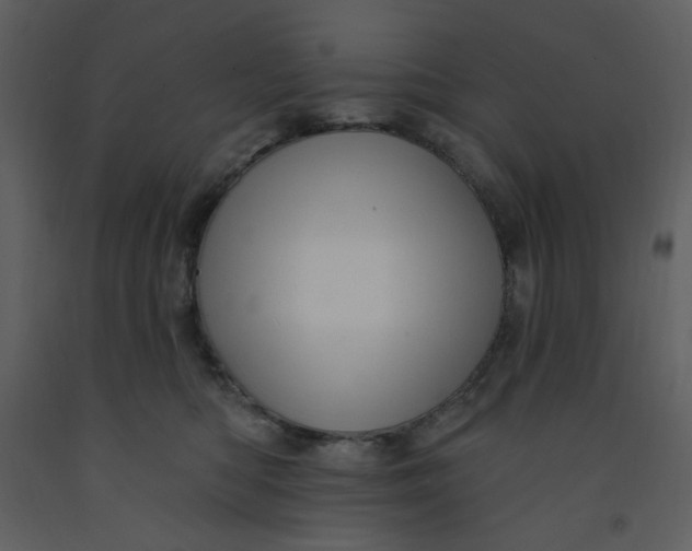 X0000093260422200710171453