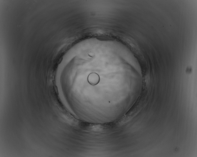 X0000093260423200710171453