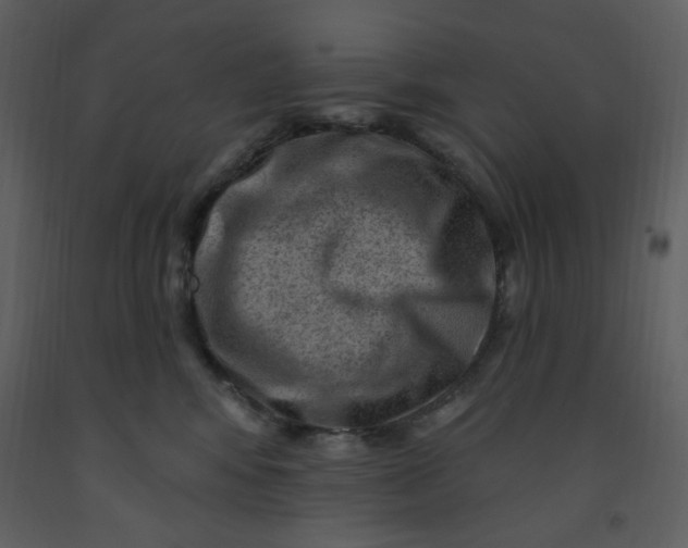 X0000093260424200710171453