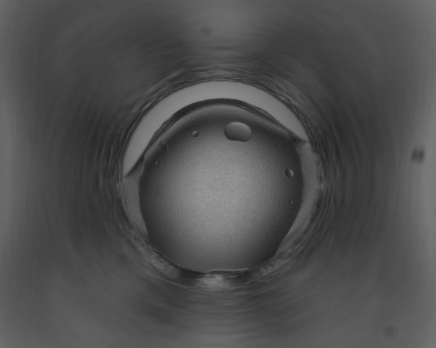 X0000093260425200710171453