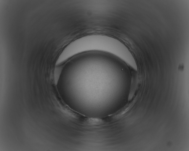 X0000093260429200710171453