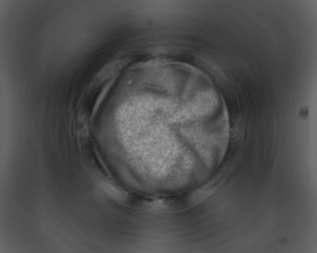 X0000093260430200710171453