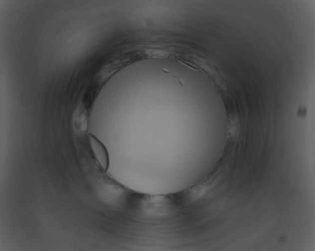 X0000093260431200710171453