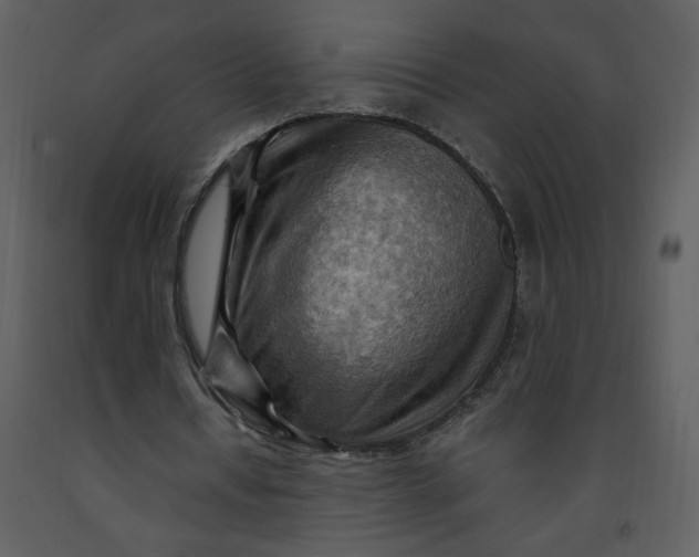 X0000093260434200710171453