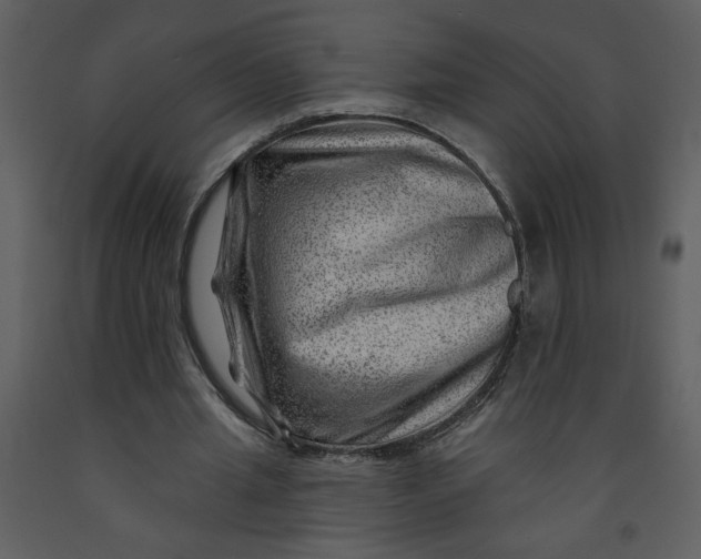 X0000093260437200710171453