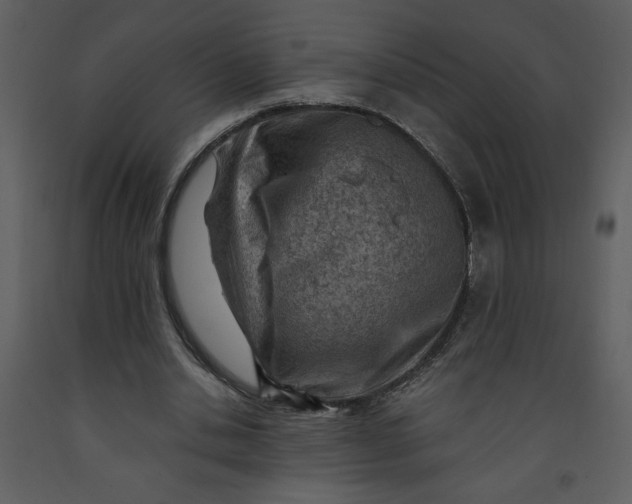 X0000093260438200710171453