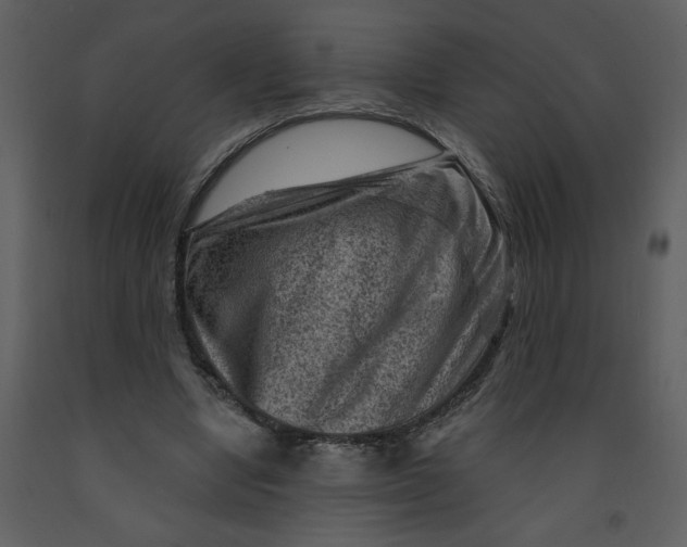 X0000093260442200710171453