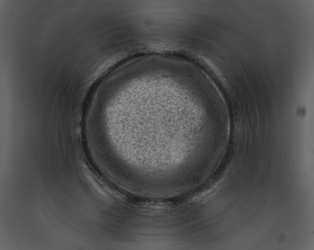 X0000093260443200710171453