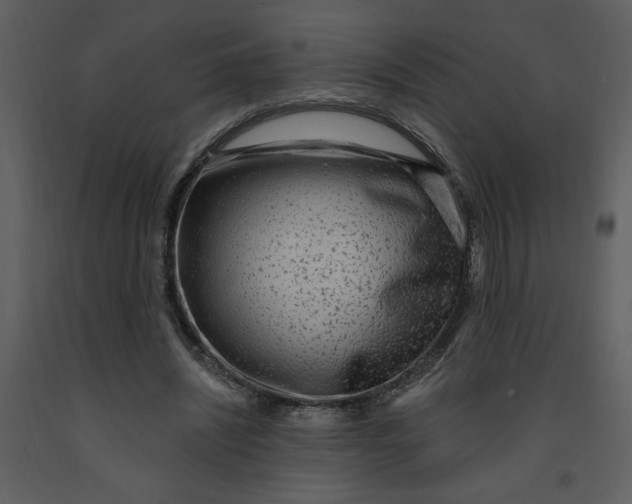 X0000093260444200710171453