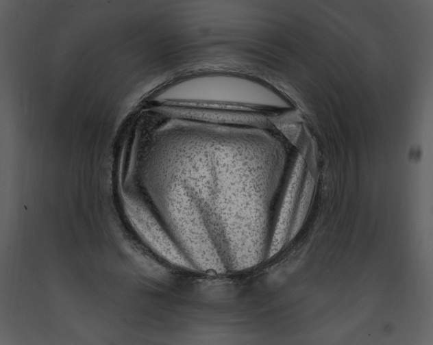 X0000093260446200710171453