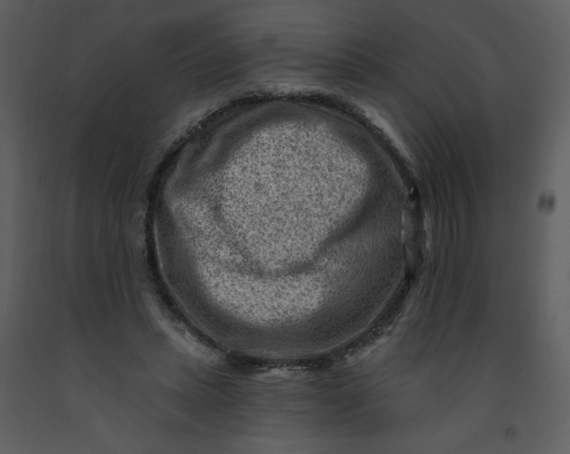 X0000093260447200710171453