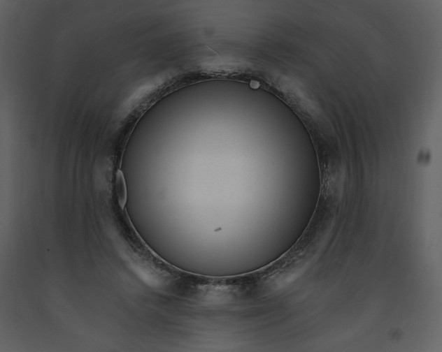 X0000093260448200710171453