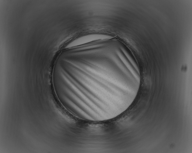 X0000093260450200710171453