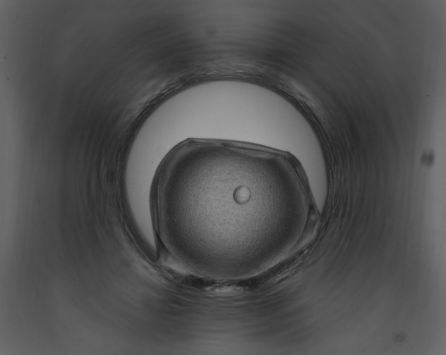 X0000093260452200710171453