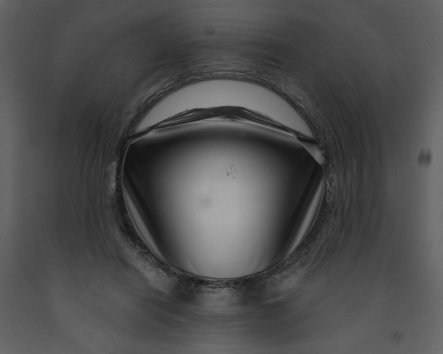 X0000093260454200710171453