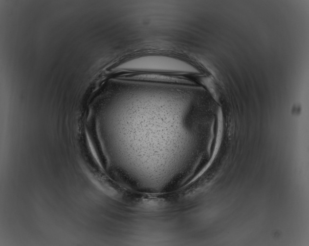 X0000093260455200710171453