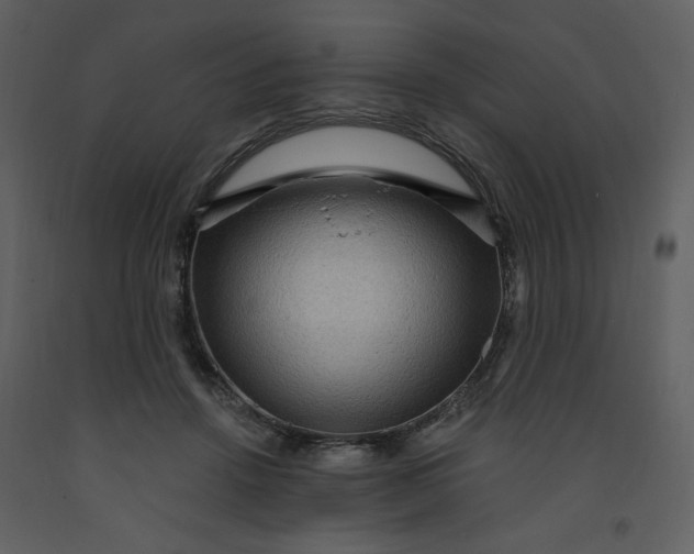 X0000093260456200710171453