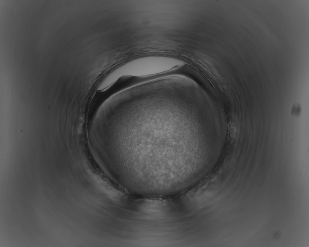 X0000093260458200710171453