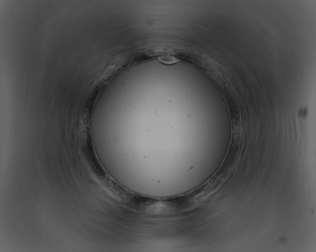 X0000093260460200710171453