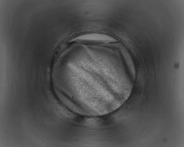 X0000093260461200710171453