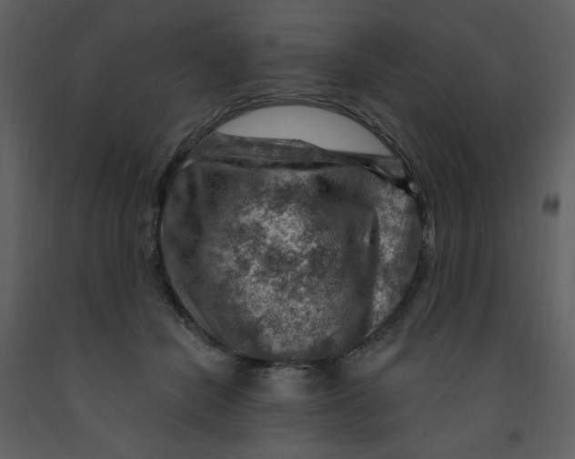 X0000093260462200710171453