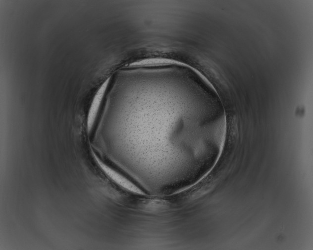 X0000093260463200710171453