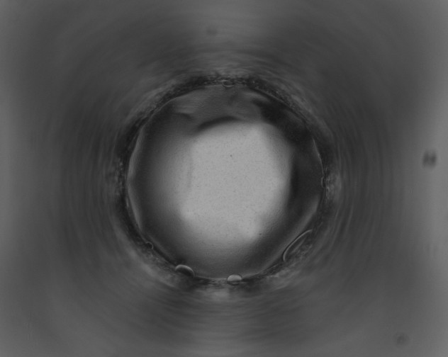 X0000093260464200710171453