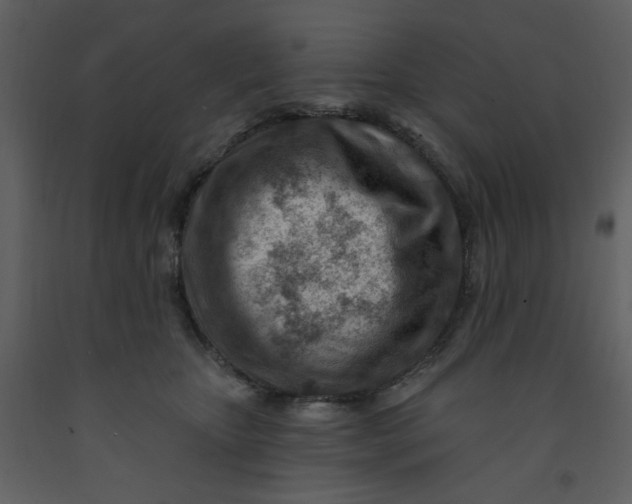 X0000093260467200710171453