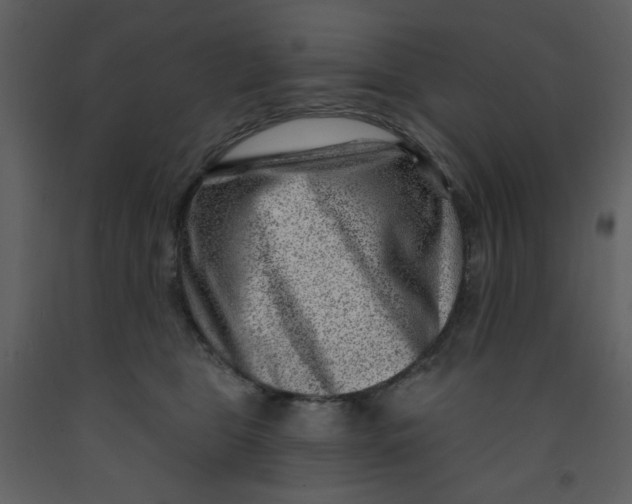 X0000093260469200710171453