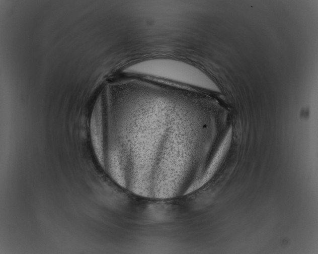 X0000093260470200710171453