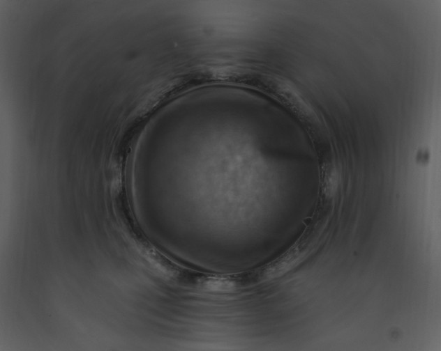 X0000093260471200710171453