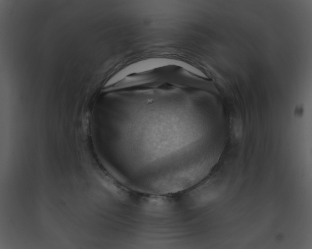 X0000093260475200710171453