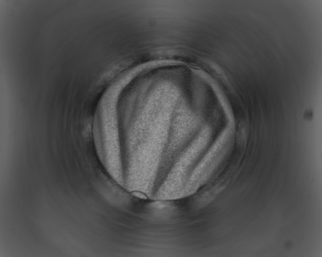 X0000093260477200710171453