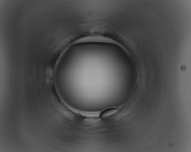 X0000093260480200710171453