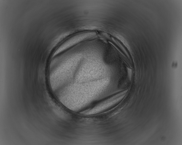 X0000093260482200710171453