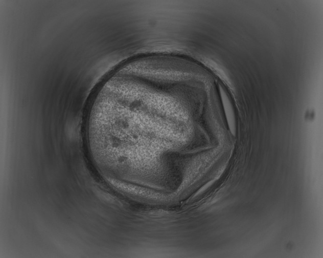 X0000093260483200710171453