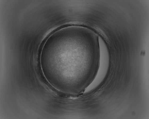 X0000093260484200710171452