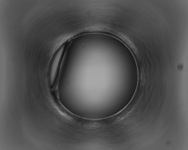 X0000093260485200710171452