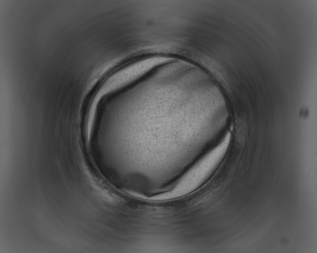 X0000093260486200710171452