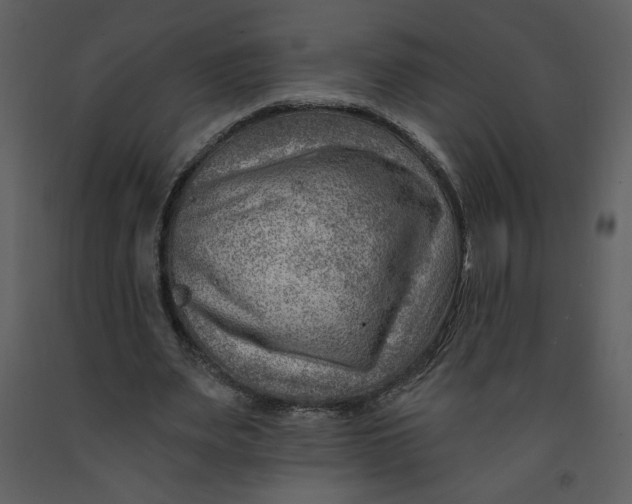 X0000093260487200710171452