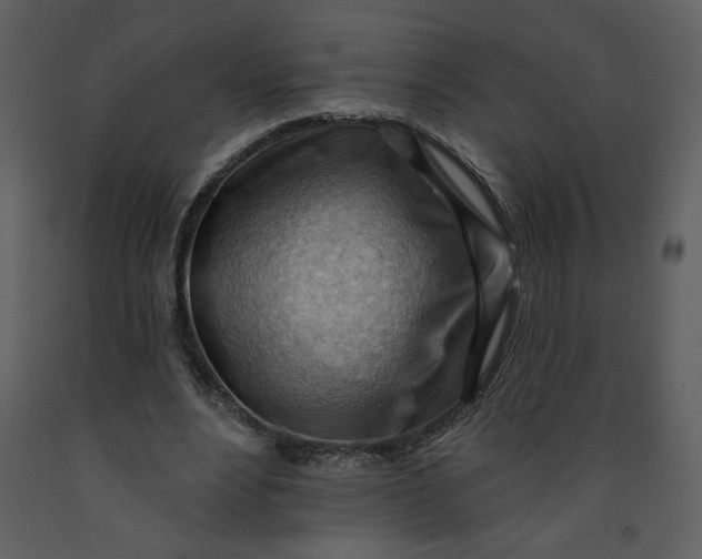 X0000093260488200710171452