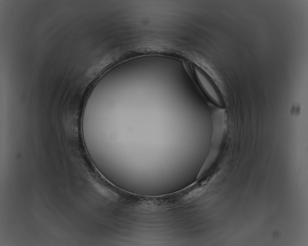 X0000093260489200710171452