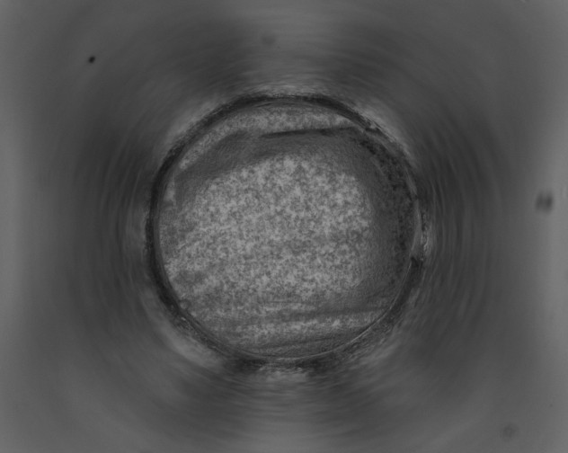 X0000093260491200710171452