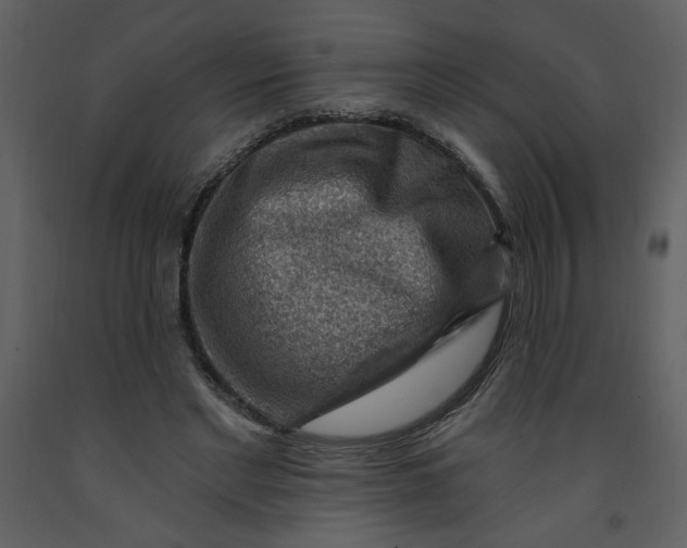 X0000093260493200710171452