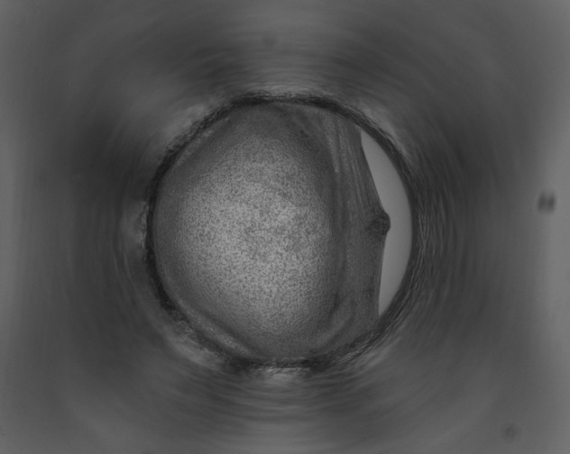 X0000093260495200710171452