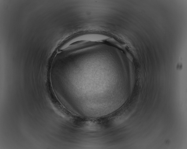 X0000093260496200710171452