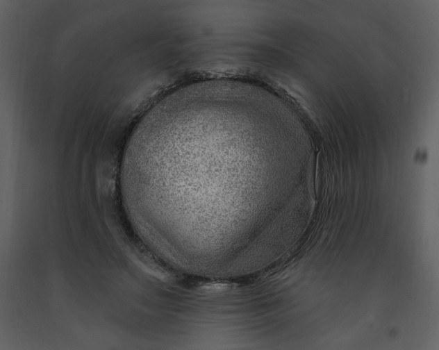 X0000093260499200710171452