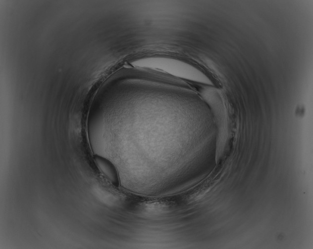 X0000093260500200710171452